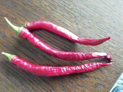 Home grown Longhorn chillies