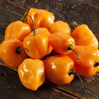 Orange Habanero