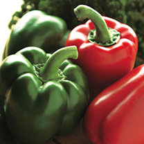Californian wonder pepper seeds