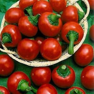 Ciliega Picante seeds