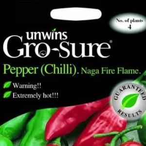 Chilli pepper Naga Flame