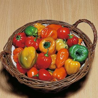 Tropical Heat chilli seeds